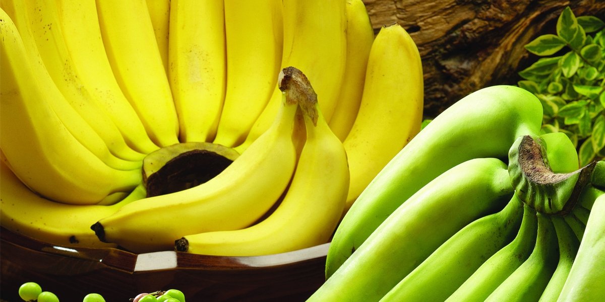 Banana Ripening Systems