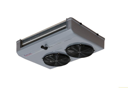 EC-P.20 (Celling Type)
